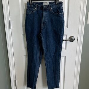 Everlane The Curvy Cheeky Jean